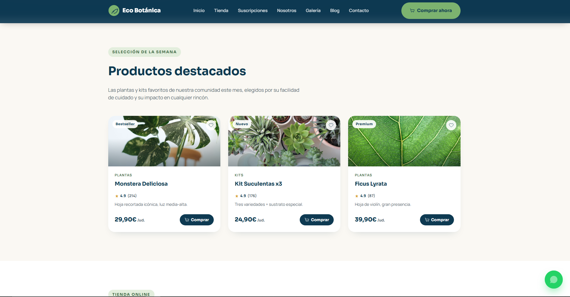 Sección Sobre Nosotros de Eco Botánica: filosofía sostenible, viveros locales y equipo de botánicos